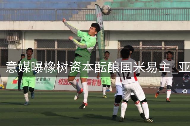 意媒曝橡树资本酝酿国米易主 亚洲资本或成潜在买家